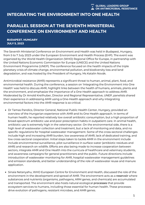 Report on the parallel session at the Seventh Ministerial Conference on Environment and Health