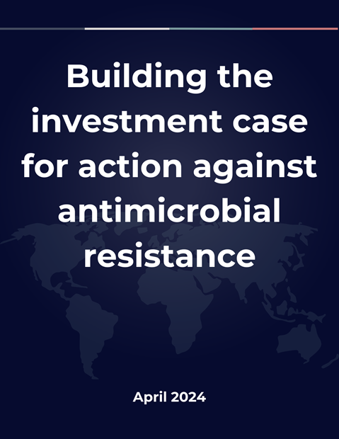 Annex to the GLG Report: Towards specific commitments and action in the response to antimicrobial resistance