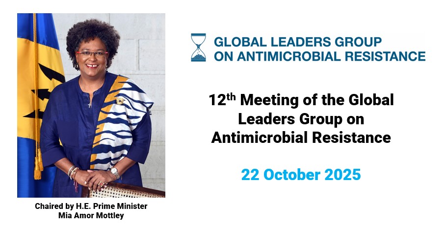 Visual for the 12th GLG meeting