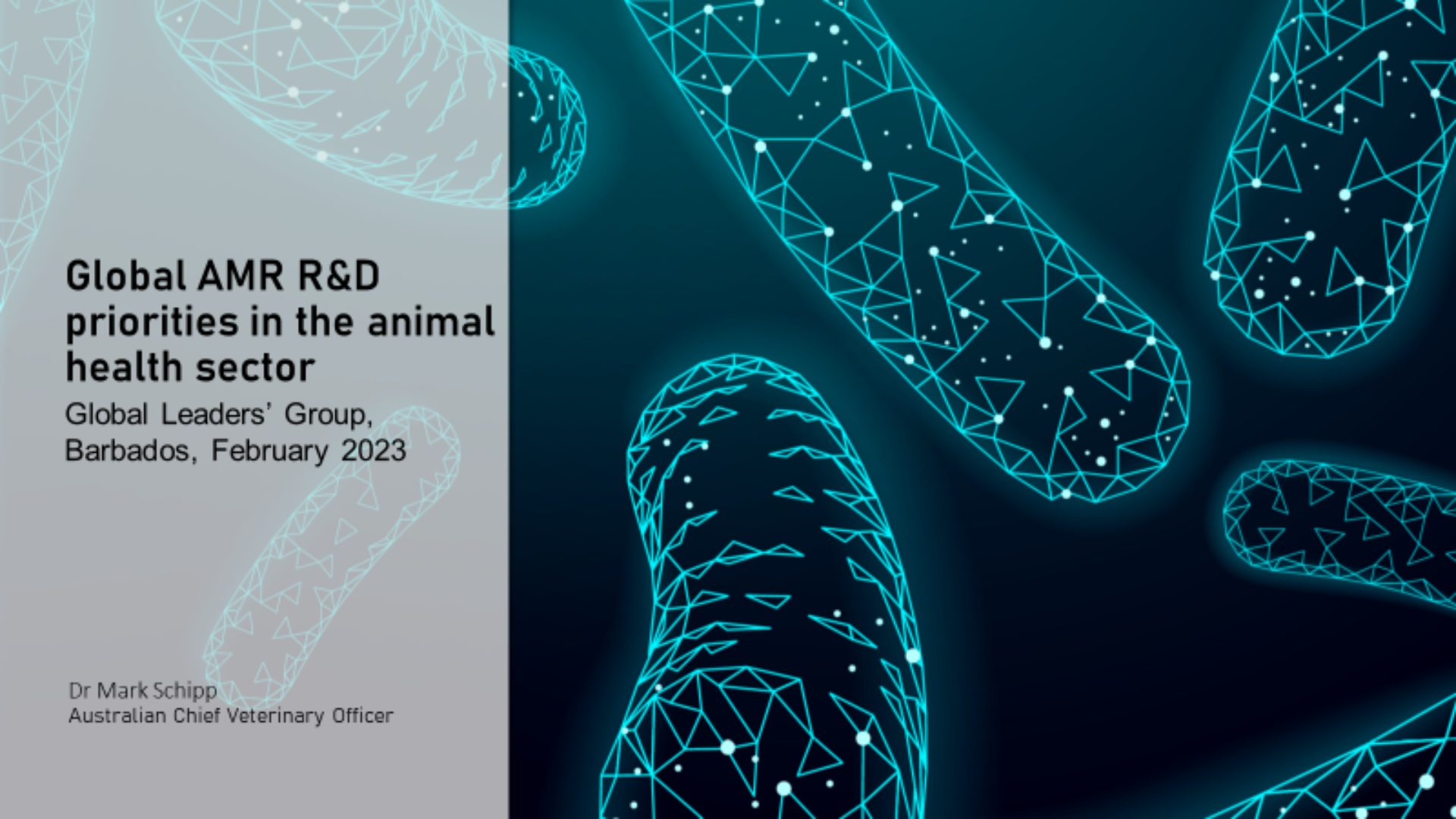 Session 6, Presentation 5, Global AMR R&D priorities in the animal ...