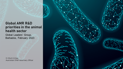 Session 6, Presentation 5, Global AMR R&D priorities in the animal health sector