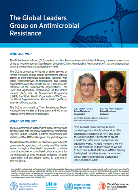 The Global Leaders Group on Antimicrobial Resistance