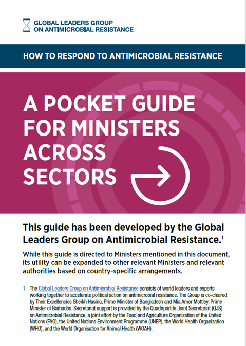 A pocket guide for ministers across sectors