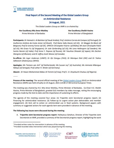 Report of the Second Meeting of the Global Leaders Group on Antimicrobial Resistance