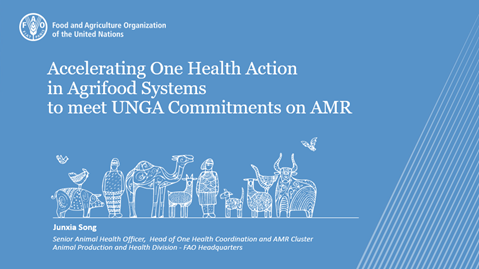 Session 1, Accelerating one health action in agrifood systems to meet UNGA commitments on AMR, Junxia Song