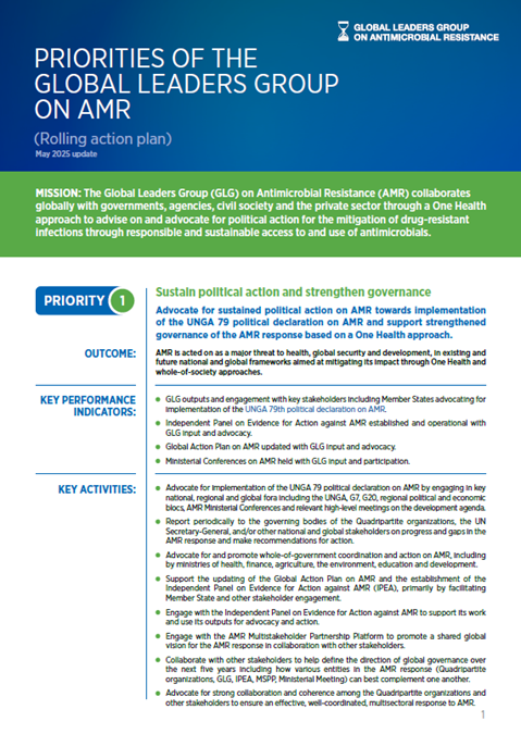 Priorities of the Global Leaders Group on AMR for 2025 - 2027