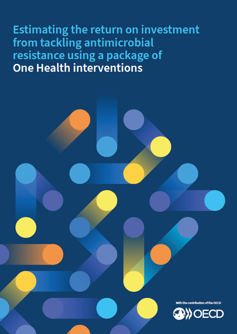 Annex to the GLG report: Estimating the return on investment from tackling antimicrobial resistance using a package of One Health interventions