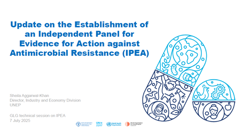 Update on the Establishment of an Independent Panel for Evidence for Action against Antimicrobial Resistance (IPEA)