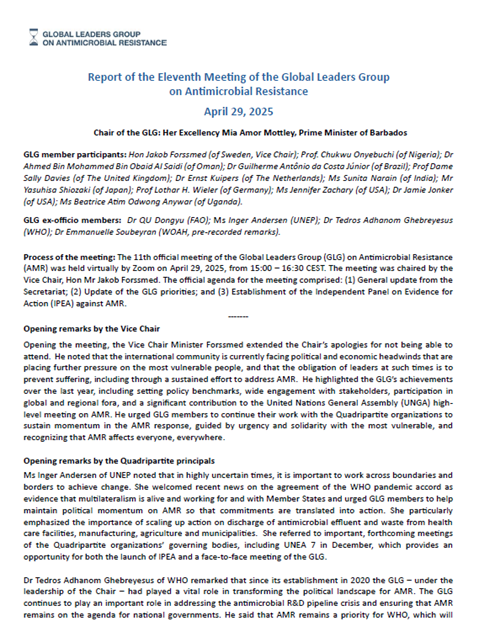 Report of the Eleventh Meeting of the Global Leaders Group on Antimicrobial Resistance