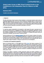 Thumbnail for summary note on the technical session on the establishment of the IPEA