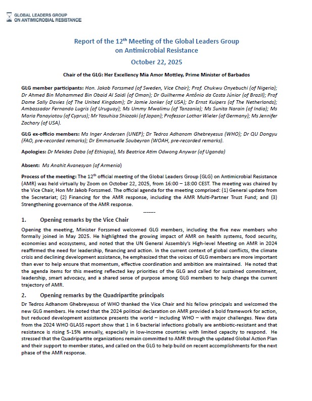 Report of the Twelfth Meeting of the Global Leaders Group on ...