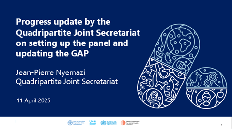 Session 2, Progress update by the QJS on setting up the panel and updating the GAP, Jean Pierre Nyemazi